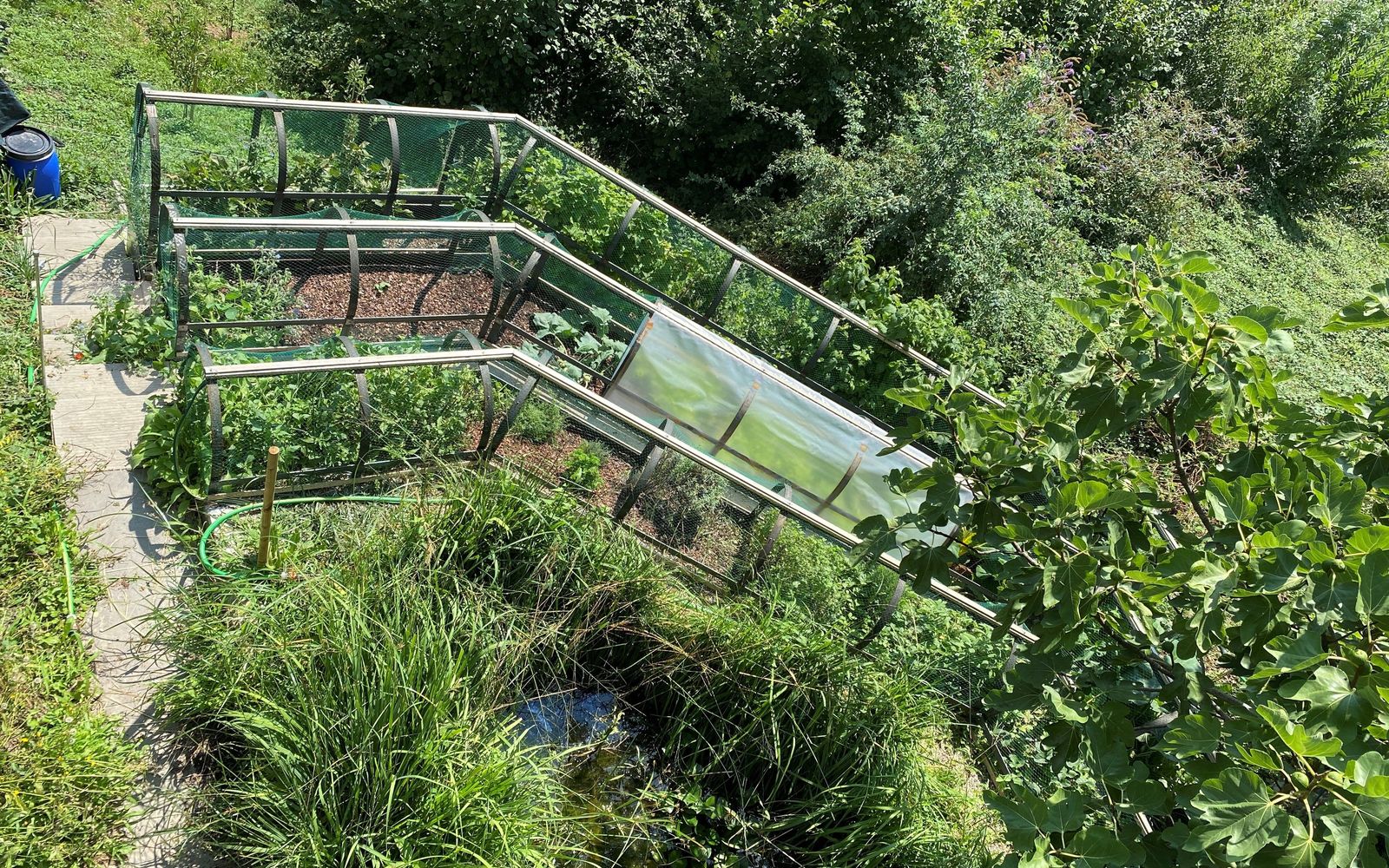 Die hängenden Gärten der Semiramis von Babylon